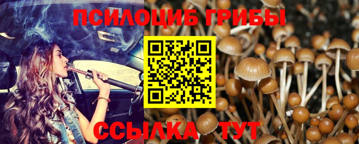 купить закладку  Галлюциногенные грибы Magic Shrooms  Новозыбков  Вход с VPN  Галлюциногенные грибы мухоморы 